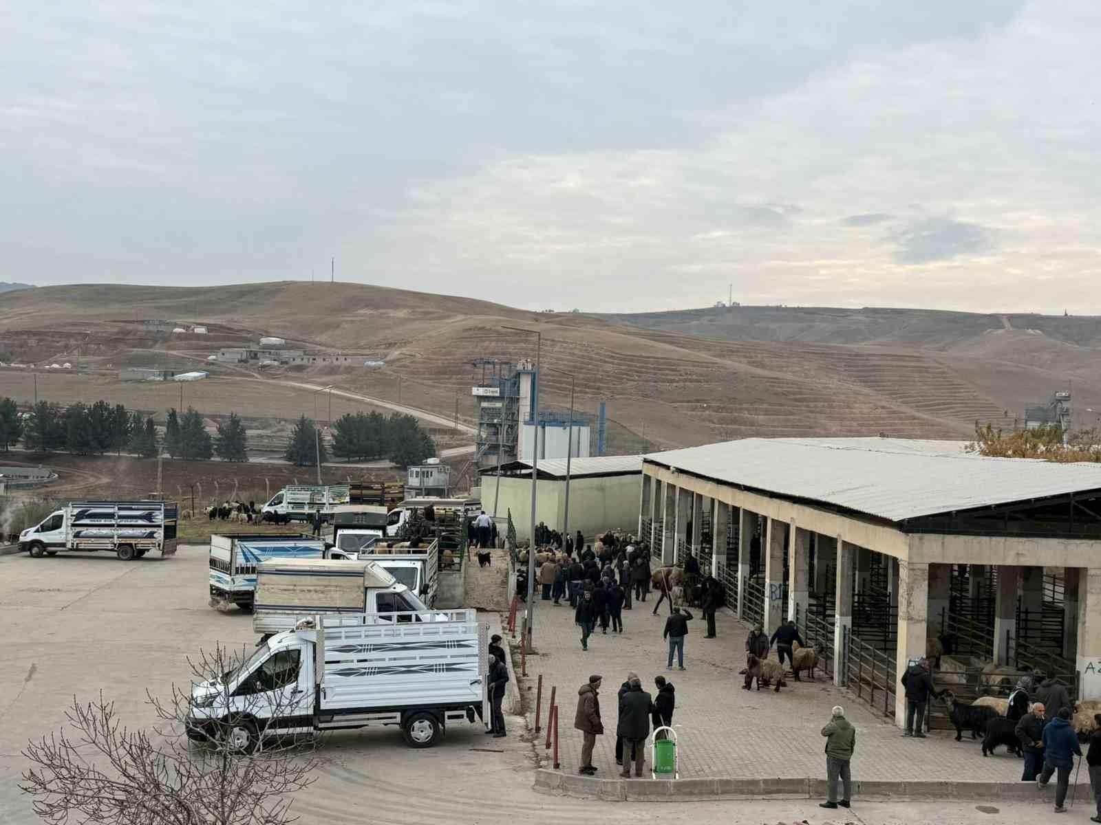 sap hastaligi nedeniyle kapali olan siirt hayvan pazari acildi 2 UnyXnHtN