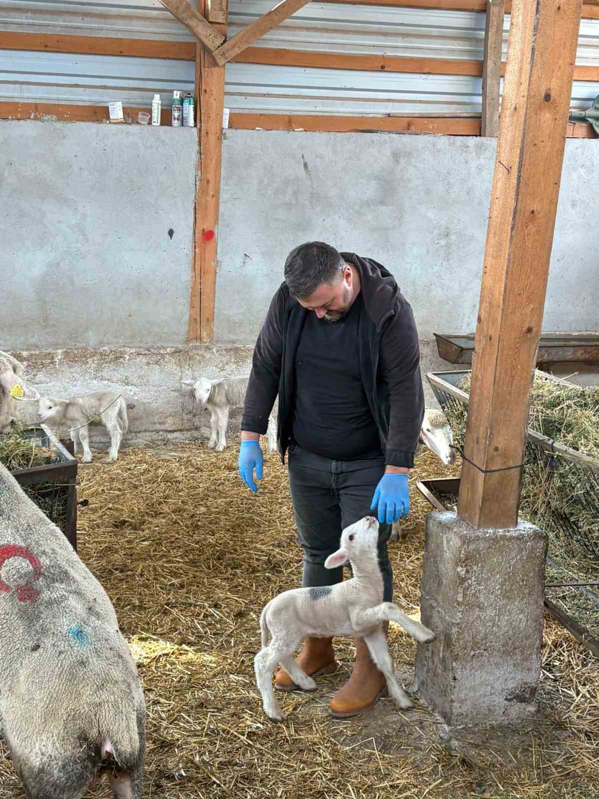 sap magduru ureticiler destek bekliyor 4