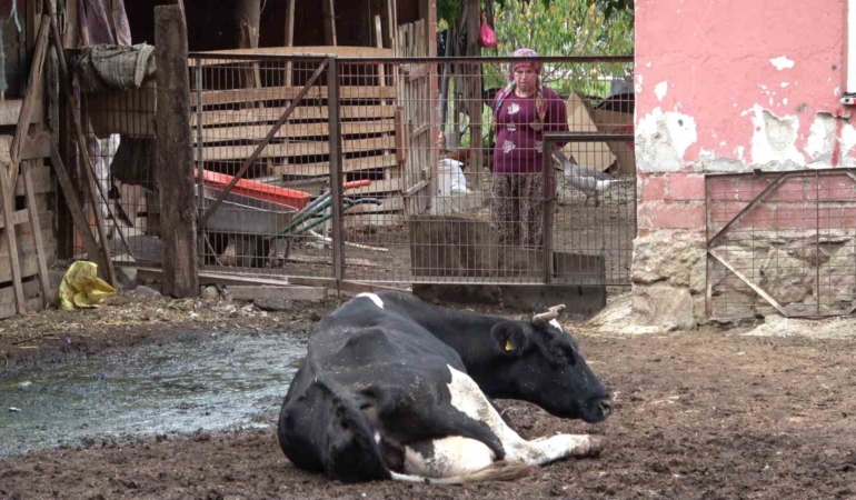 sapa-karsi-en-radikal-koruma-asi-asilamayi-ihmal-etmeyin-rcxiICi5.jpg