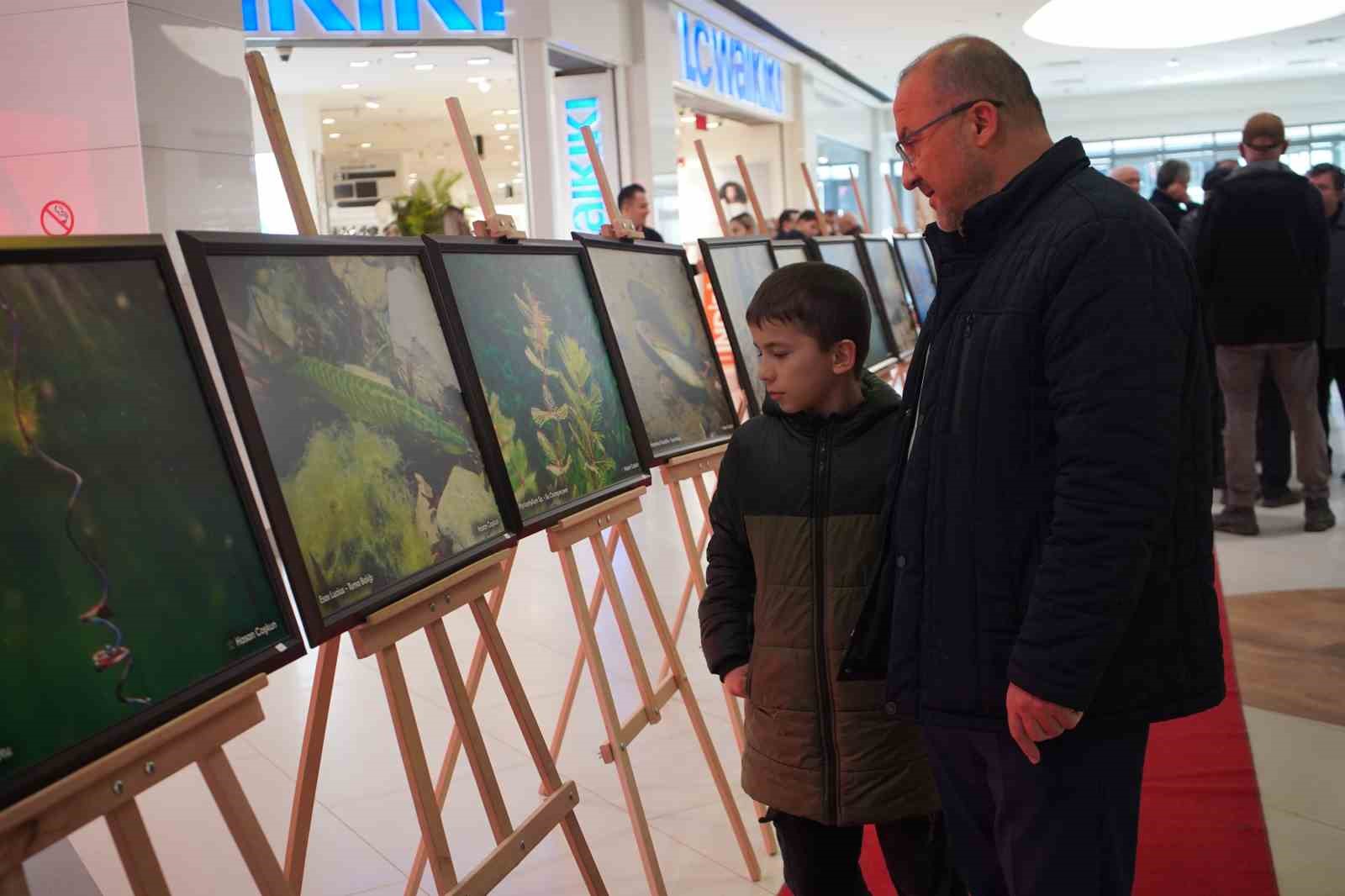 sapanca golu fotograflari gazze icin umuda donustu geliri yetim ve oksuz cocuklara bagislanacak 0 WdMpnTsf