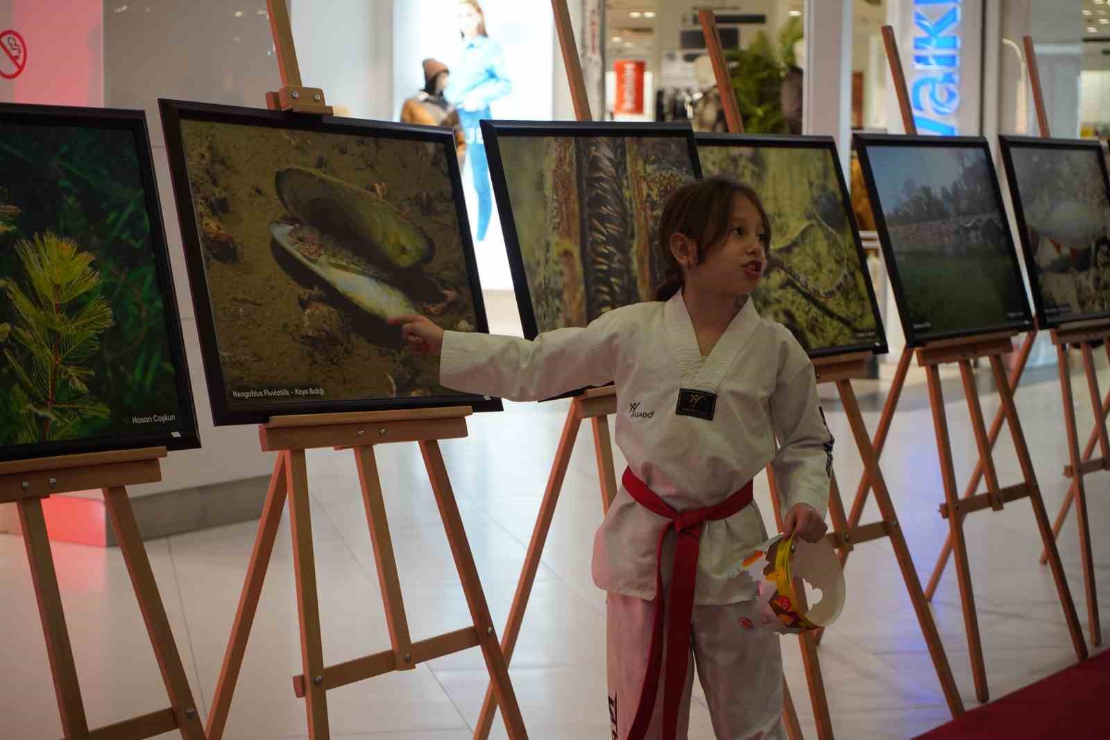 sapanca golu fotograflari gazze icin umuda donustu geliri yetim ve oksuz cocuklara bagislanacak 12 cdNcik4s