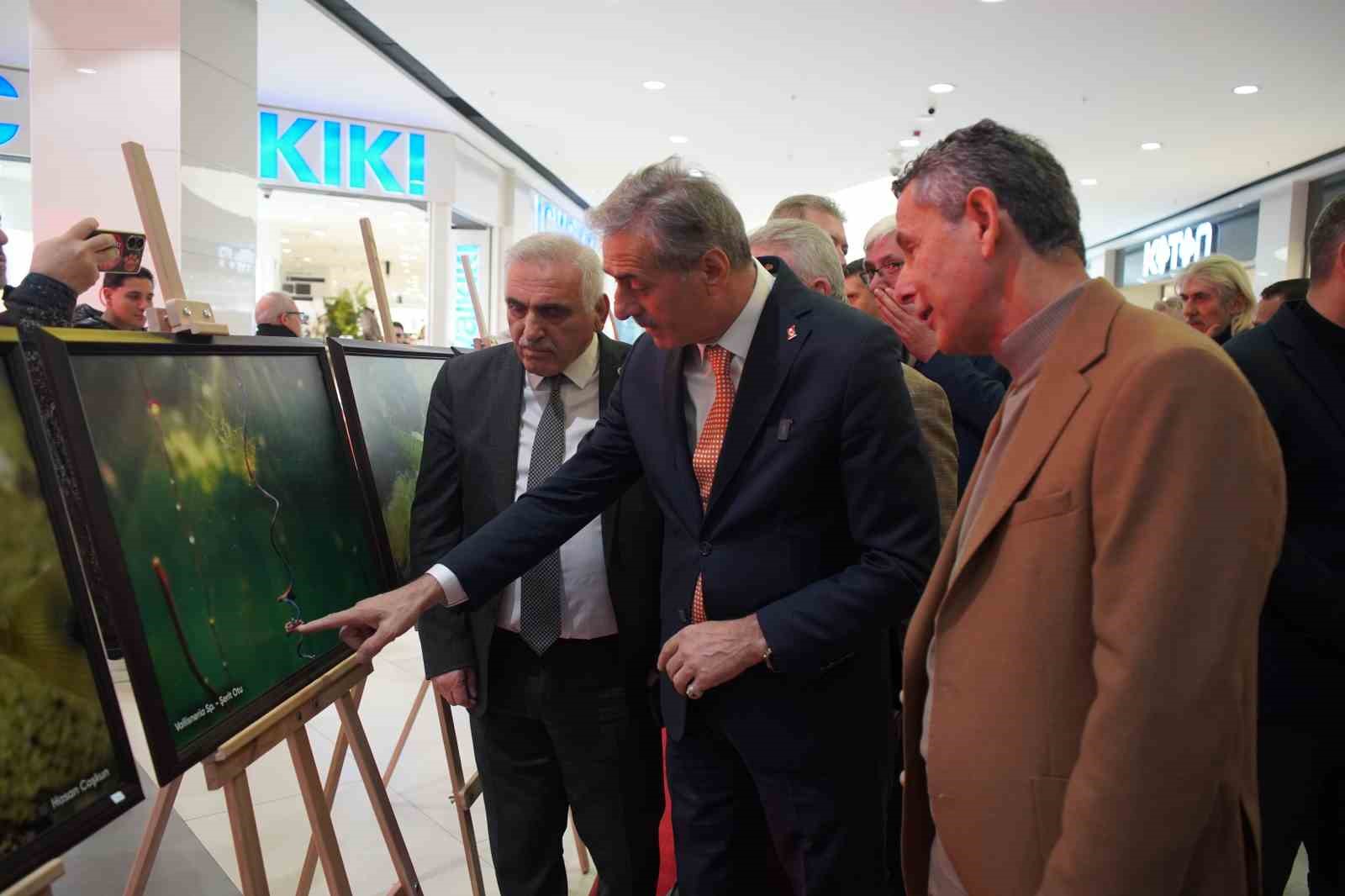 sapanca golu fotograflari gazze icin umuda donustu geliri yetim ve oksuz cocuklara bagislanacak 13 kyly2O7P