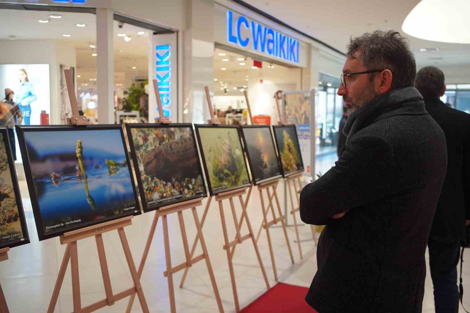 sapanca golu fotograflari gazze icin umuda donustu geliri yetim ve oksuz cocuklara bagislanacak 17