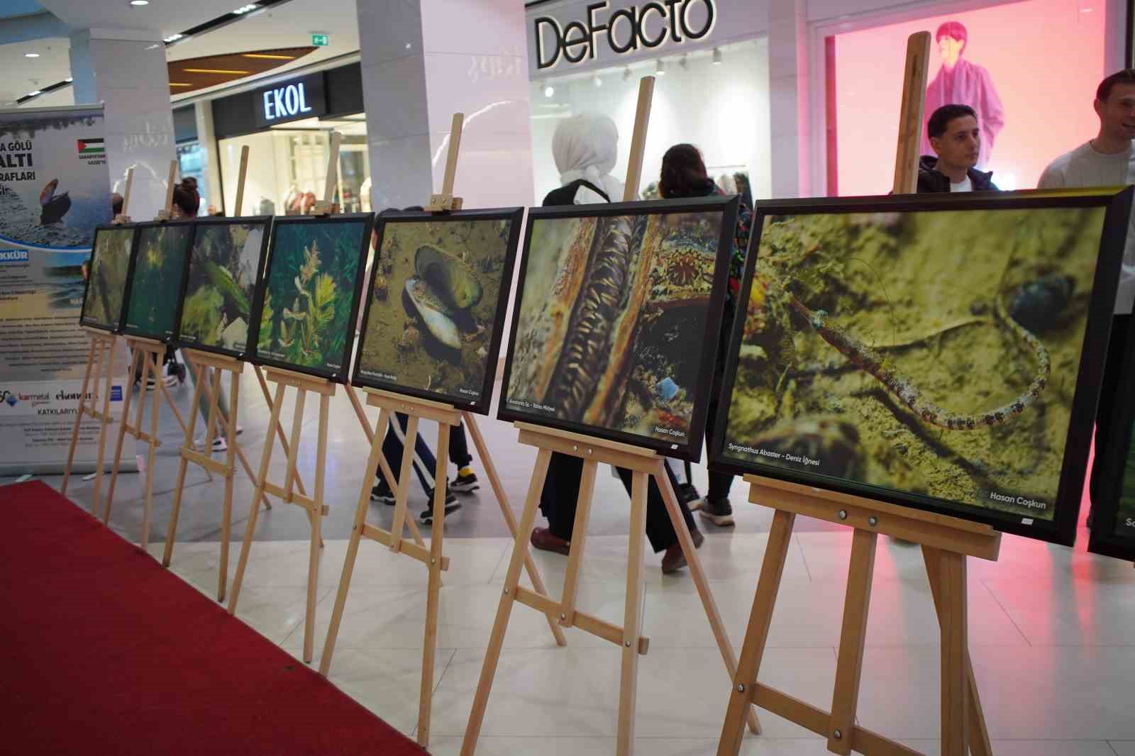 sapanca golu fotograflari gazze icin umuda donustu geliri yetim ve oksuz cocuklara bagislanacak 6 G9O13bXW