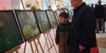 sapanca-golu-fotograflari-gazze-icin-umuda-donustu-geliri-yetim-ve-oksuz-cocuklara-bagislanacak-Fqejtwkt.jpg