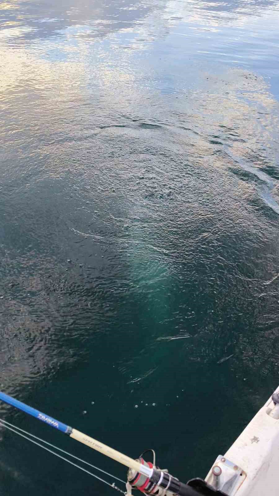 sapanca golunde esrarengiz goruntu 4 hSCHleUg