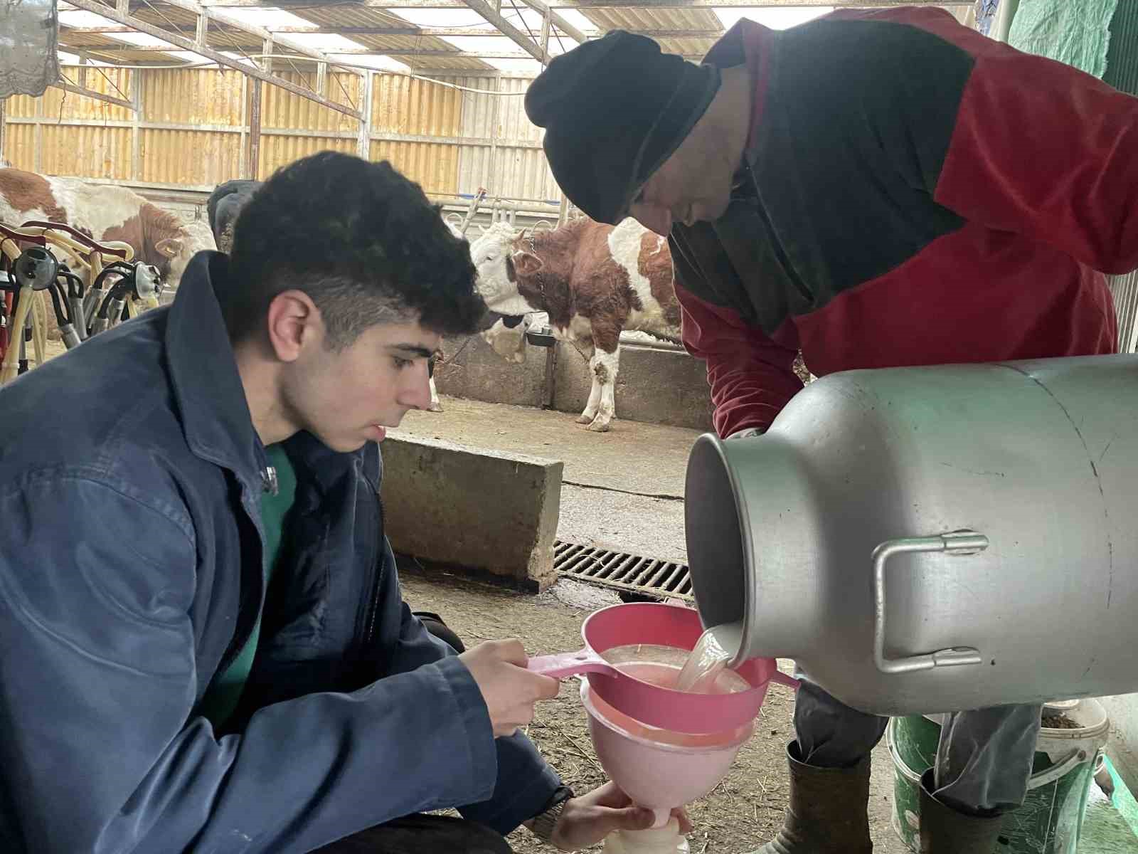 sapin vurdugu ureticiler sut fiyatinda guncelleme istiyor 1 hwyjSzQf