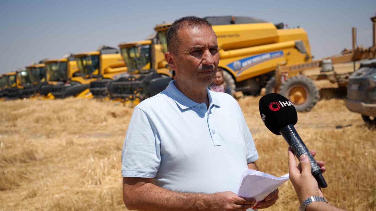 Sarı altın hasadı başladı: Yüzde 40’lık artışla 25 bin tonluk rekolte 9 sari altin hasadi basladi yuzde 40lik artisla 25 bin tonluk rekolte 5 iufgkp2m