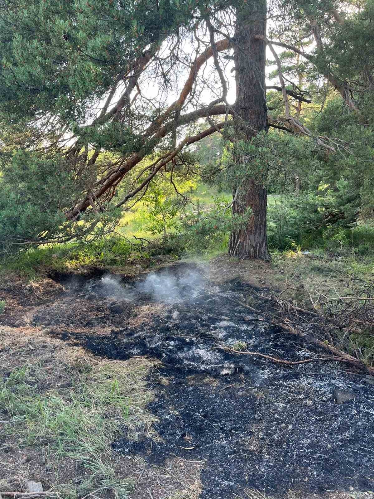 sarikamis ormanlarinda ortu yangini 0 lFLvqX2l