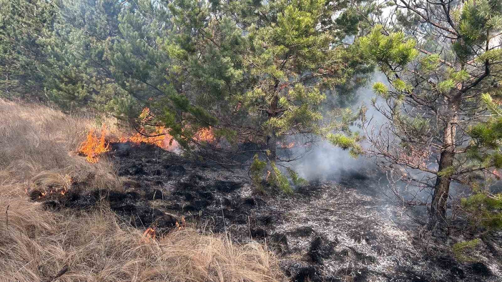 sarikamis ormanlarinda ortu yangini 3 H5RHGrCF