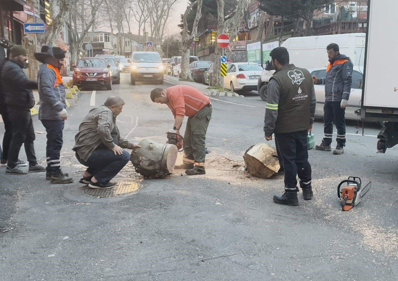 sariyerde cinar agaci otomobilin uzerine devrildi o anlar kamerada 2 XaDPHuhI