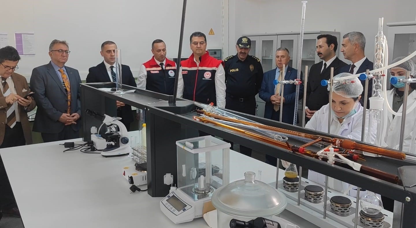 sarkoyde zeytin hasadi yapildi 2 JVubQPvH