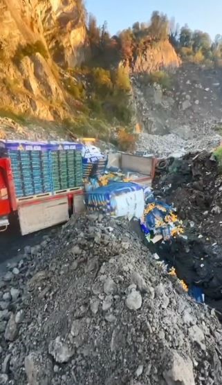 Sarp Sınır Kapısı’nda 6 ton mandalina imha edildi: Zirai ilaç kalıntısı tespit edildi 4 sarp sinir kapisinda 6 ton mandalina imha edildi zirai ilac kalintisi tespit edildi 0