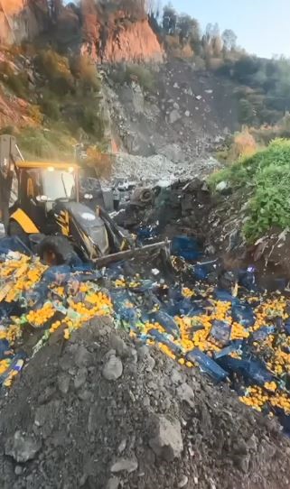 Sarp Sınır Kapısı’nda 6 ton mandalina imha edildi: Zirai ilaç kalıntısı tespit edildi 5 sarp sinir kapisinda 6 ton mandalina imha edildi zirai ilac kalintisi tespit edildi 1 EKGmJUBQ