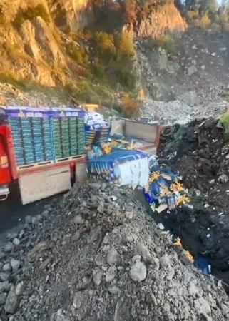 sarp-sinir-kapisinda-6-ton-mandalina-imha-edildi-zirai-ilac-kalintisi-tespit-edildi-3frhjXyU.jpg