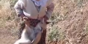 sasonun-cesur-ninesi-tayyibe-nine-hayatini-kaybetti-A5bf8ALF.jpg
