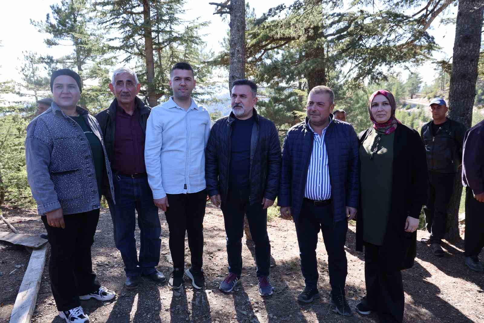 sedir mantarinin gelecegi icin uyari her mantar toplanmaz 1