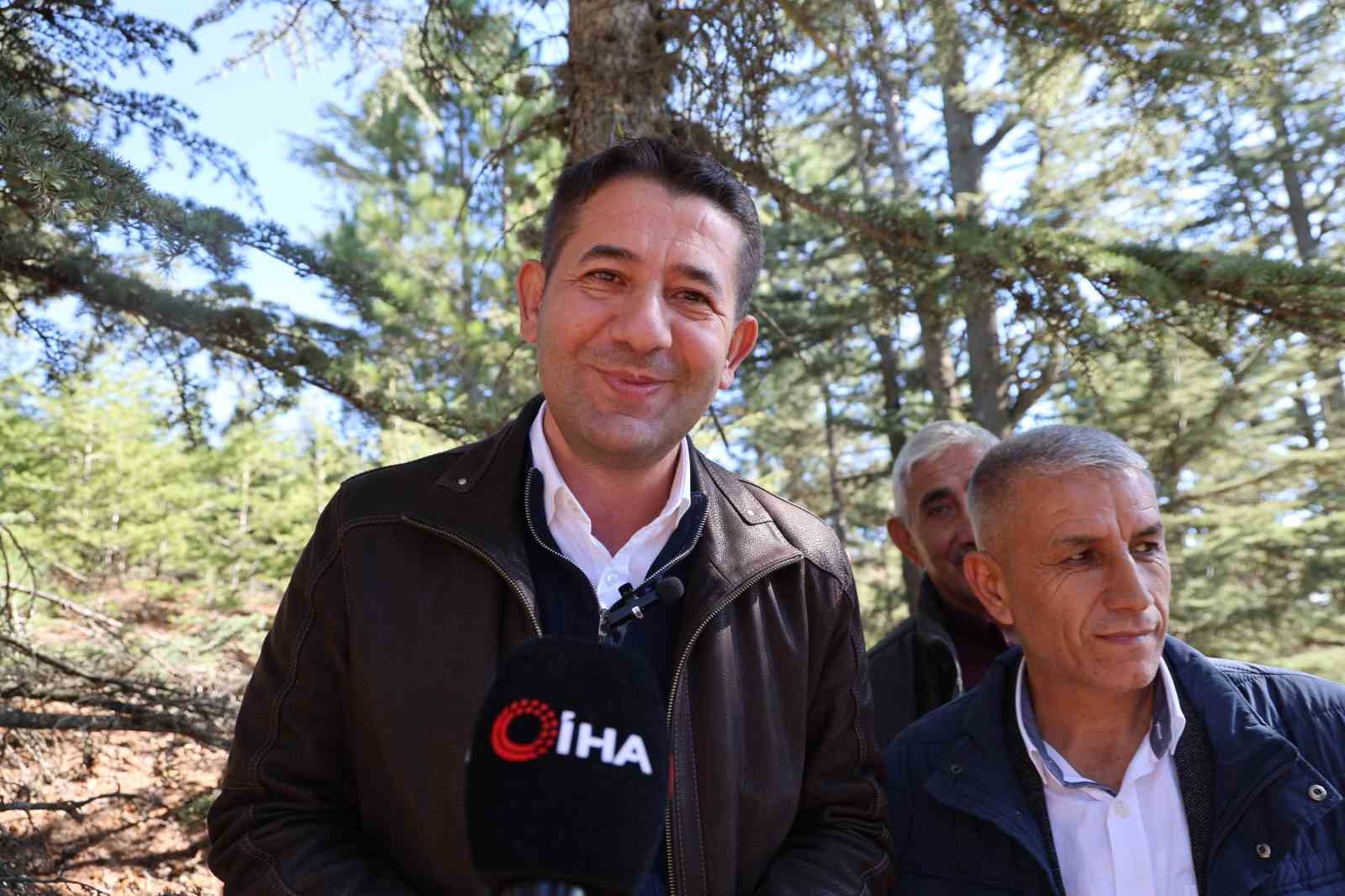 sedir mantarinin gelecegi icin uyari her mantar toplanmaz 6 UYbylrDP