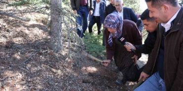 sedir-mantarinin-gelecegi-icin-uyari-her-mantar-toplanmaz-fu7edS9D.jpg