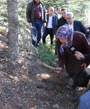 sedir-mantarinin-gelecegi-icin-uyari-her-mantar-toplanmaz-fu7edS9D.jpg