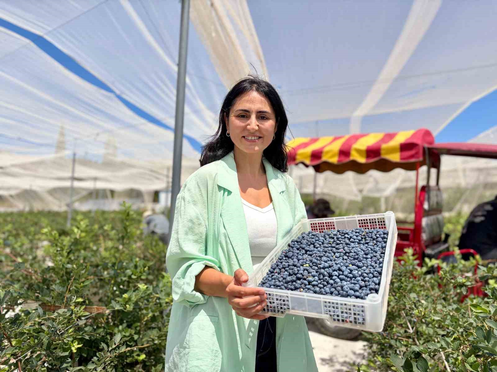 sehir hayatindan yorulan cift topraksiz tarim ureticisi oldu 0 C2qihQ56