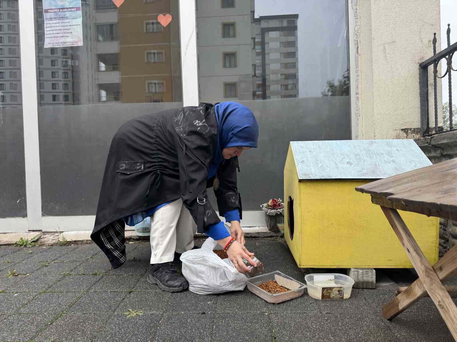 sehir merkezine inen tilki kimseye aldiris etmeden karnini doyurdu 0 MOsEApVA