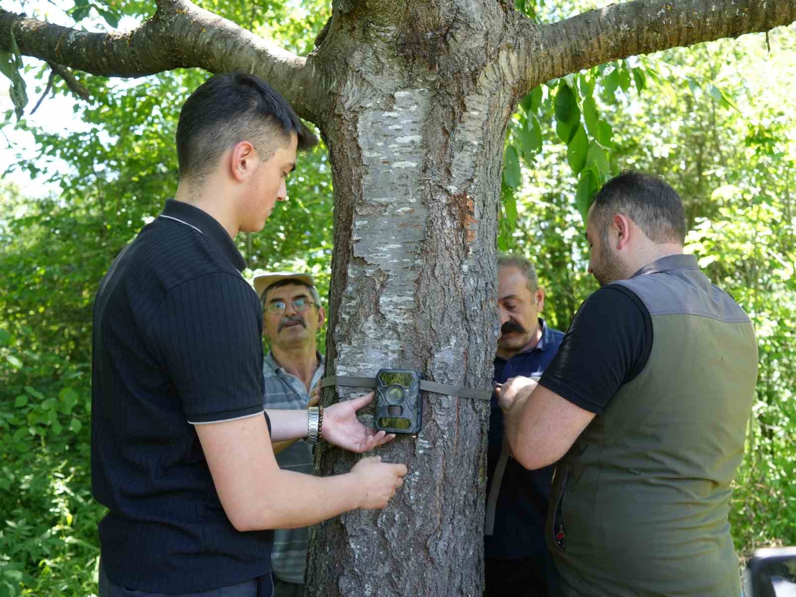 Şehir merkezine yakın köylere kadar inen ayı için Milli Parklar fotokapan kurdu 6 sehir merkezine yakin koylere kadar inen ayi icin milli parklar fotokapan kurdu 2 HJ3Uzupm