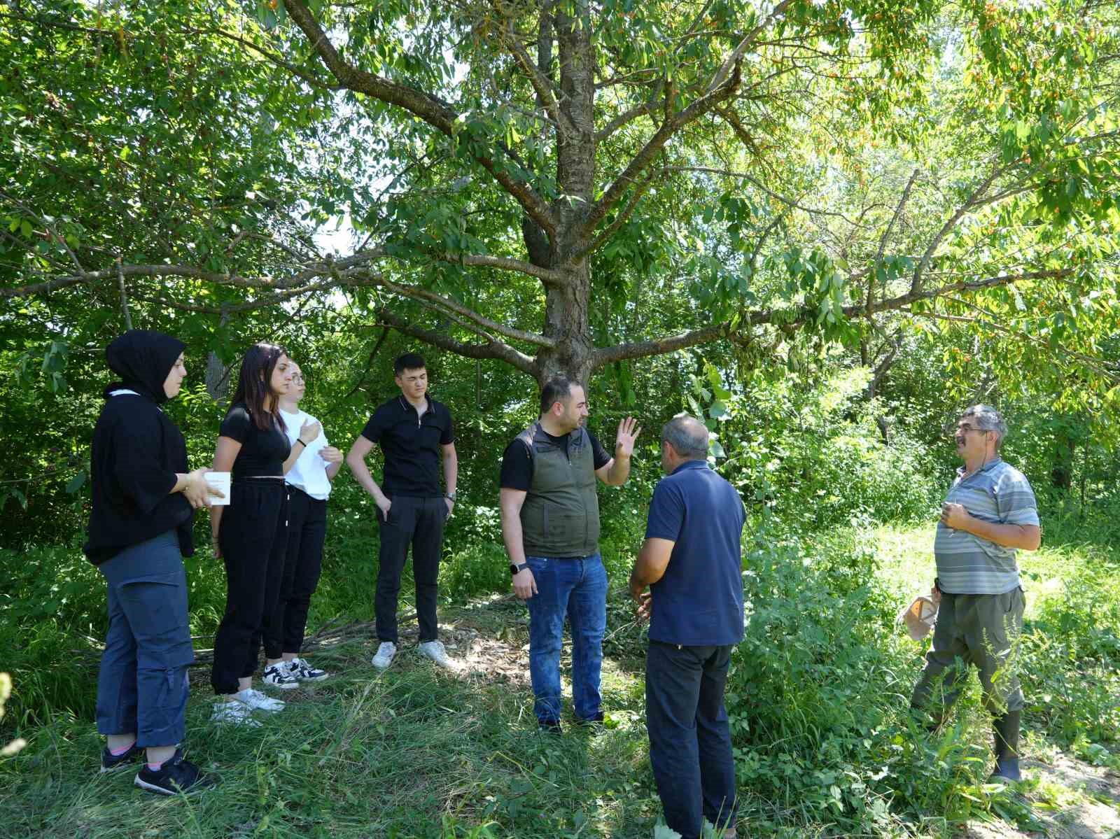 Şehir merkezine yakın köylere kadar inen ayı için Milli Parklar fotokapan kurdu 11 sehir merkezine yakin koylere kadar inen ayi icin milli parklar fotokapan kurdu 7 jJswKOXy