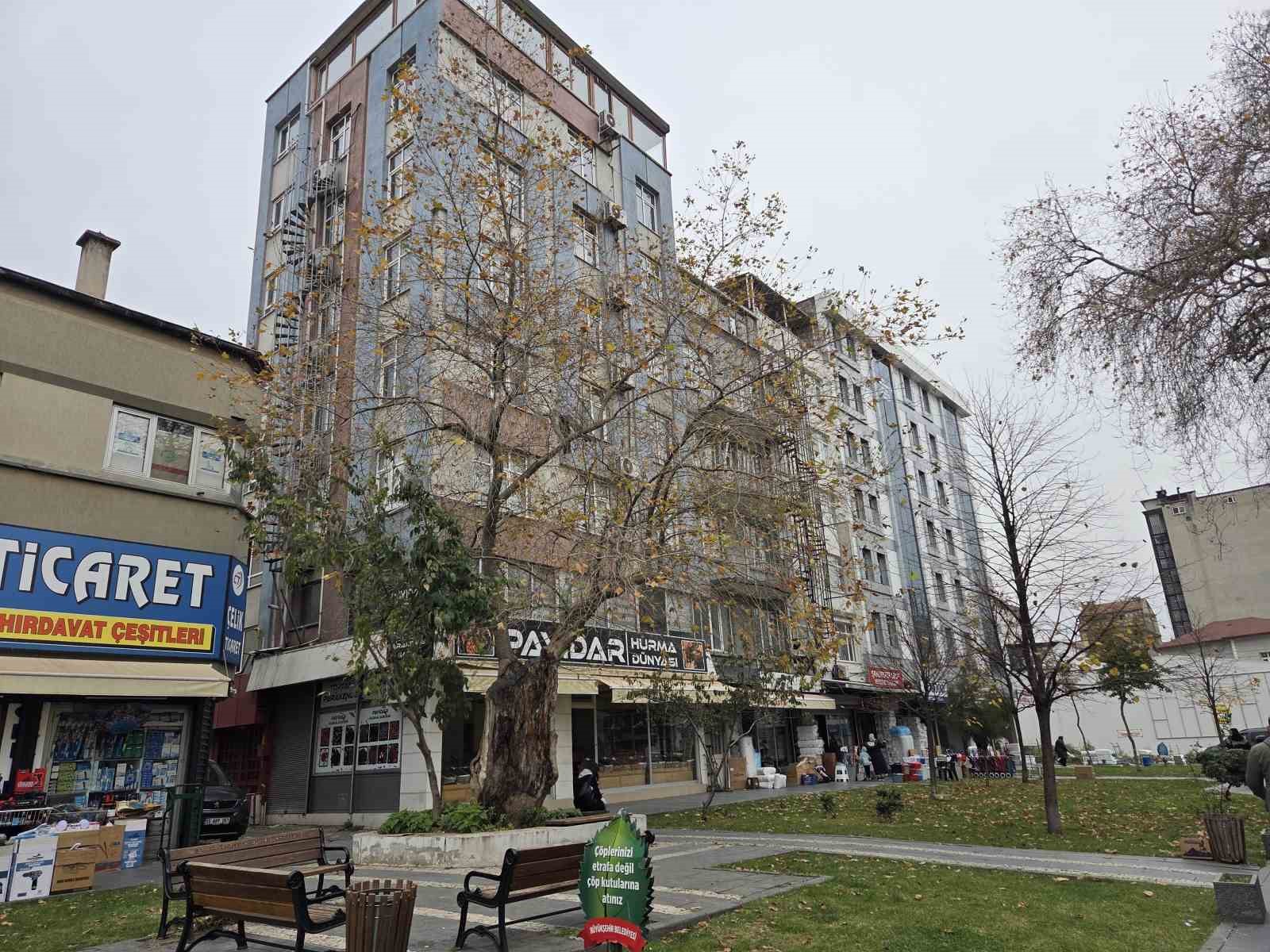 sehirdeki 20 anit agactan biri olan cinar govdesi olmadan dis kabugu uzerinde duruyor 2 yVABWyqQ