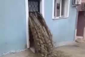 Kapıkule yolunda SUV araç ile tır çarpıştı: 2’si ağır 3 yaralı 1 thumbnail