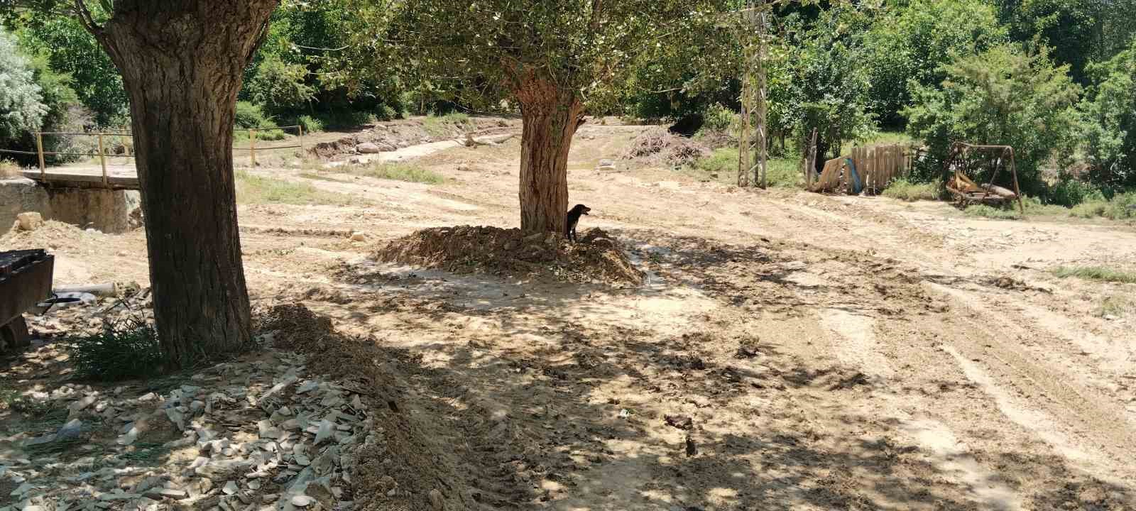 Sel suları köyü esir aldı, maddi hasar meydana geldi 5 sel sulari koyu esir aldi maddi hasar meydana geldi 1 aQXrwnN3