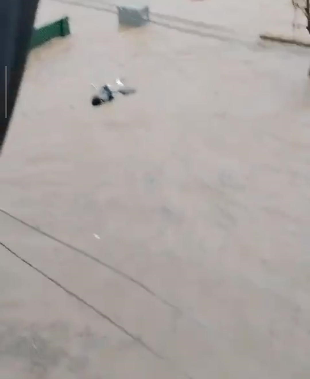 Sel sularına kapılan yaşlı adamı son anda kurtardılar 6 sel sularina kapilan yasli adami son anda kurtardilar 2 WDyMykiI