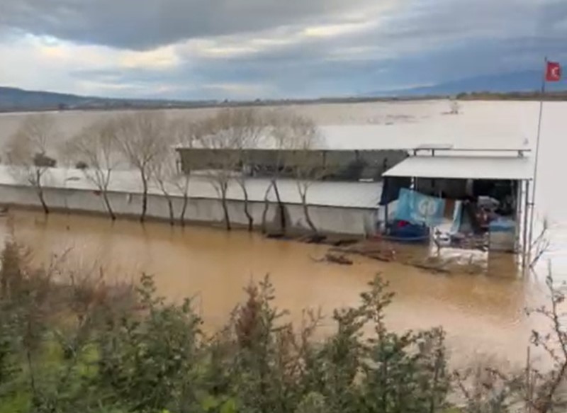 sel sularinin ortasindaki depoda mahsur kalan kopekler yurek burktu 0 ZLG8WImn
