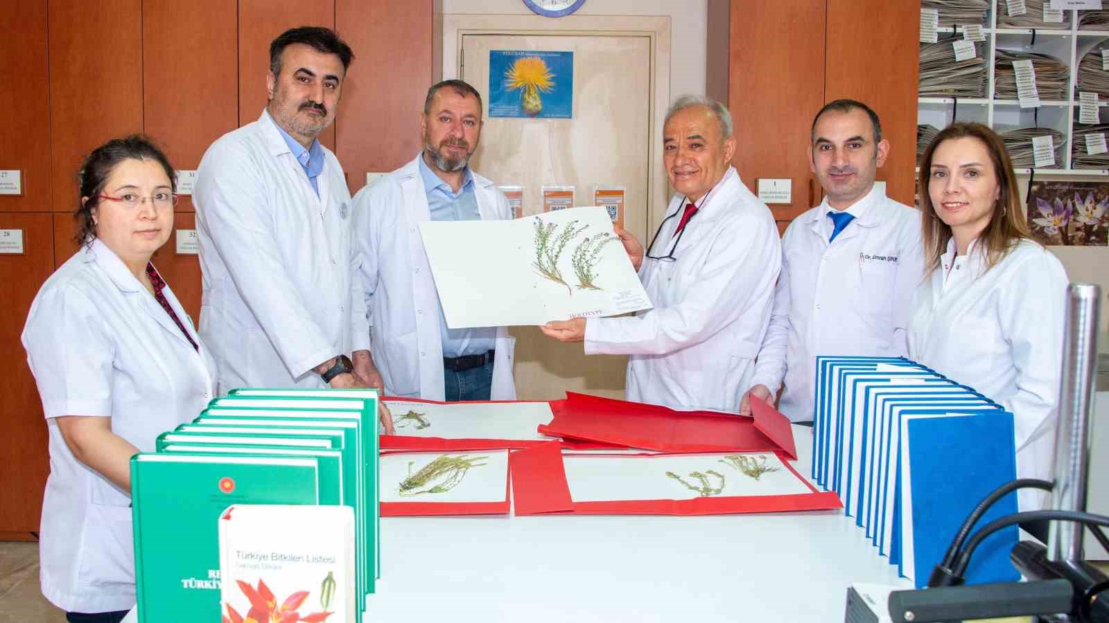 selcuk universitesi akademisyenleri 4 yeni bitki turu kesfetti 0 i9LId41S