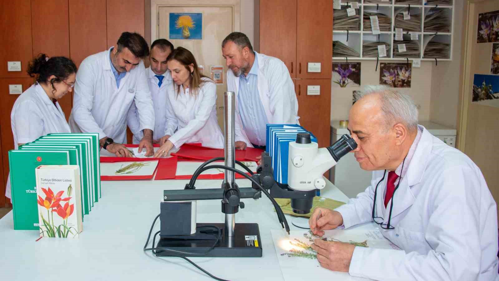selcuk universitesi akademisyenleri 4 yeni bitki turu kesfetti 3 OTT951WV