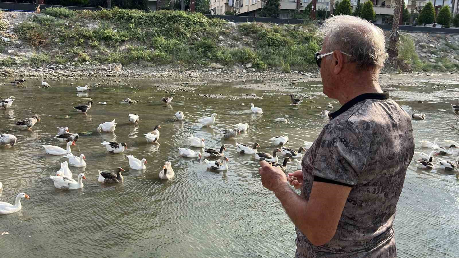 selin izleri kuslarin yasamini da vurdu 1 2AagYb6f