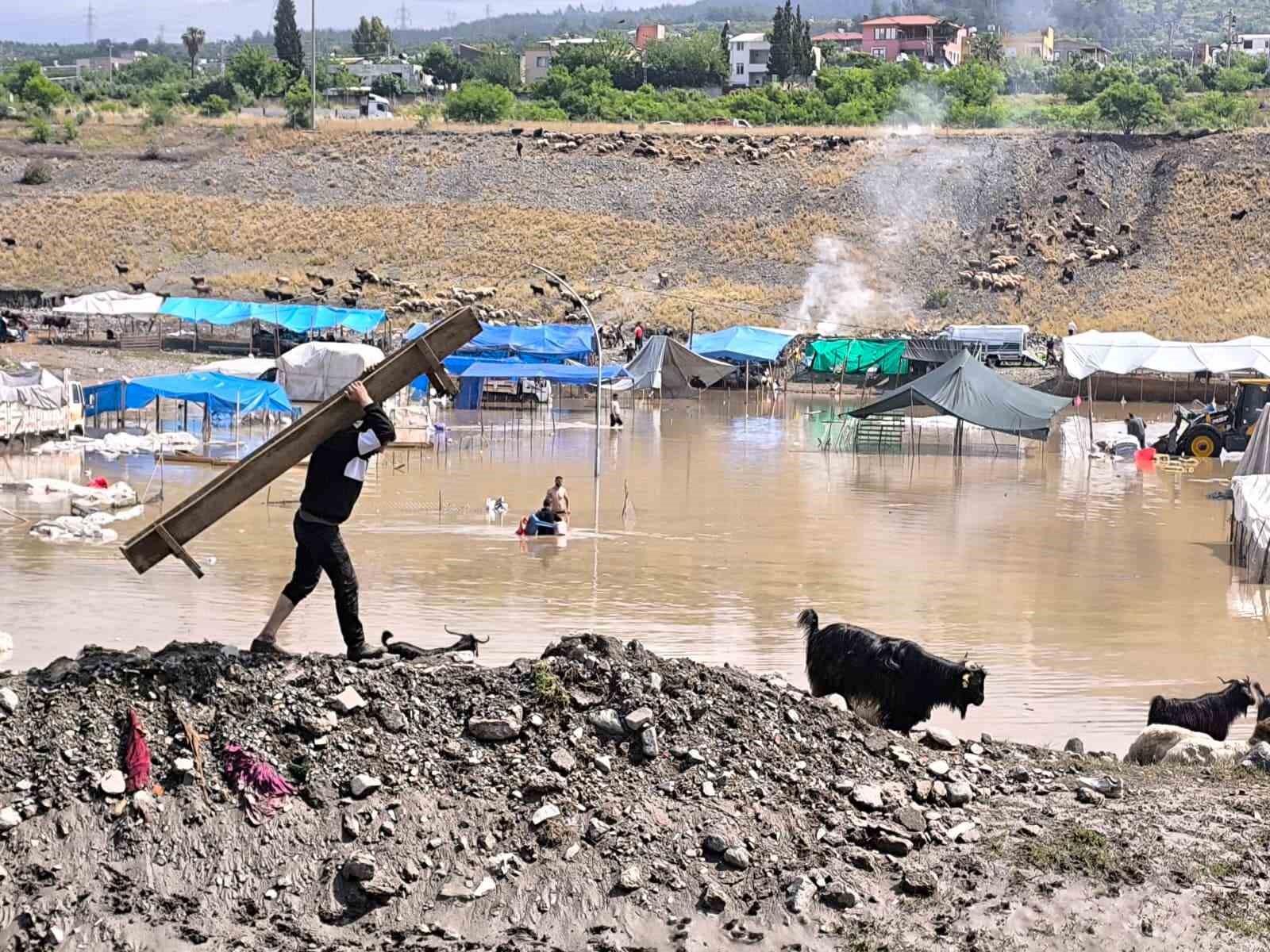 Selle birlikte sular altında kalan pazarda hayvanları kurtarmak için çalışmalar sürüyor 4 selle birlikte sular altinda kalan pazarda hayvanlari kurtarmak icin calismalar suruyor 0 X626zvIX