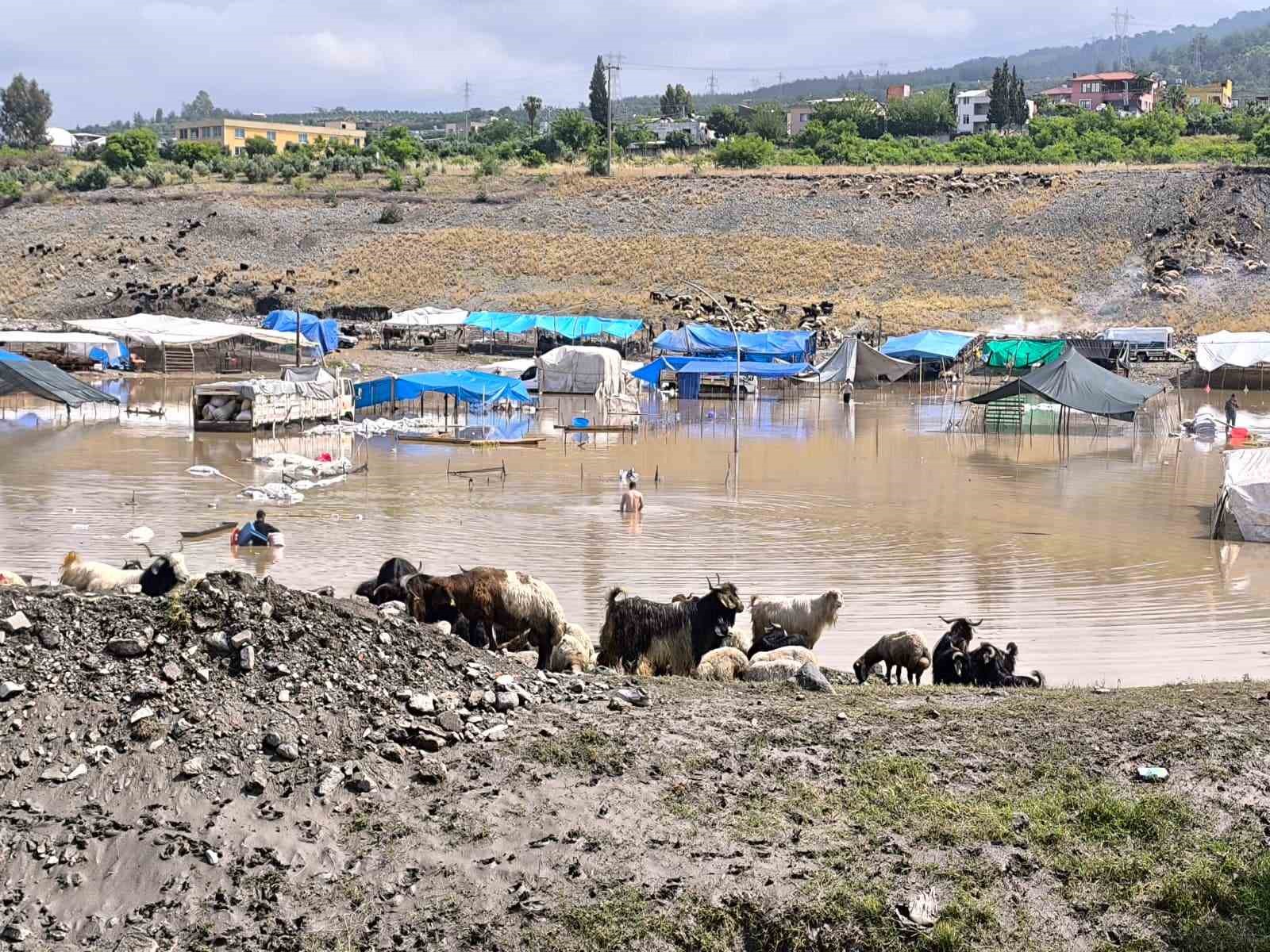Selle birlikte sular altında kalan pazarda hayvanları kurtarmak için çalışmalar sürüyor 5 selle birlikte sular altinda kalan pazarda hayvanlari kurtarmak icin calismalar suruyor 1 RNgyFL1v