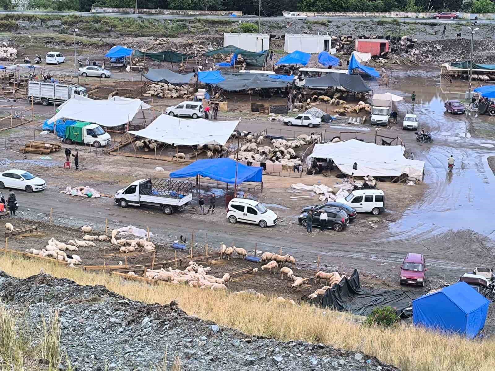 Selle birlikte sular altında kalan pazarda hayvanları kurtarmak için çalışmalar sürüyor 7 selle birlikte sular altinda kalan pazarda hayvanlari kurtarmak icin calismalar suruyor 3 QDvf4OKz