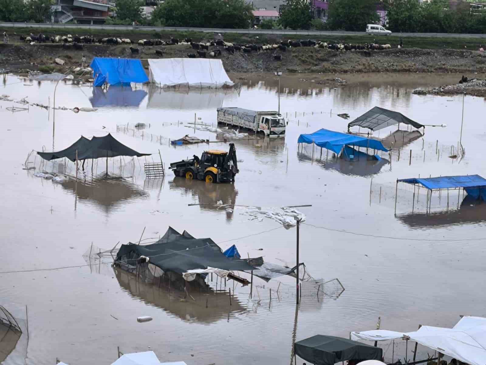 Selle birlikte sular altında kalan pazarda hayvanları kurtarmak için çalışmalar sürüyor 8 selle birlikte sular altinda kalan pazarda hayvanlari kurtarmak icin calismalar suruyor 4 iBqQzv7l