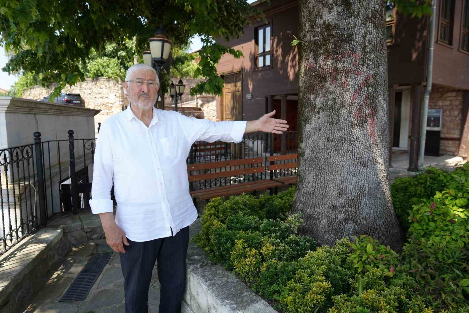 Sembol caminin 6 asırlık çınarı yıldırımlara rağmen ayakta 7 sembol caminin 6 asirlik cinari yildirimlara ragmen ayakta 3 cL6te1lY