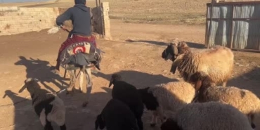 semere-yerlestirdigi-biberonlarla-suru-psikolojisini-yonetiyor-NIbyaekX.jpg