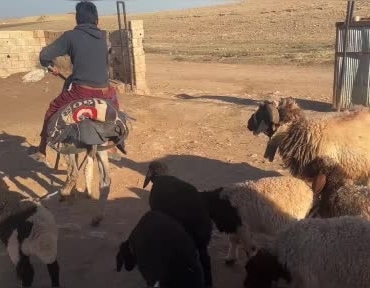 semere-yerlestirdigi-biberonlarla-suru-psikolojisini-yonetiyor-NIbyaekX.jpg