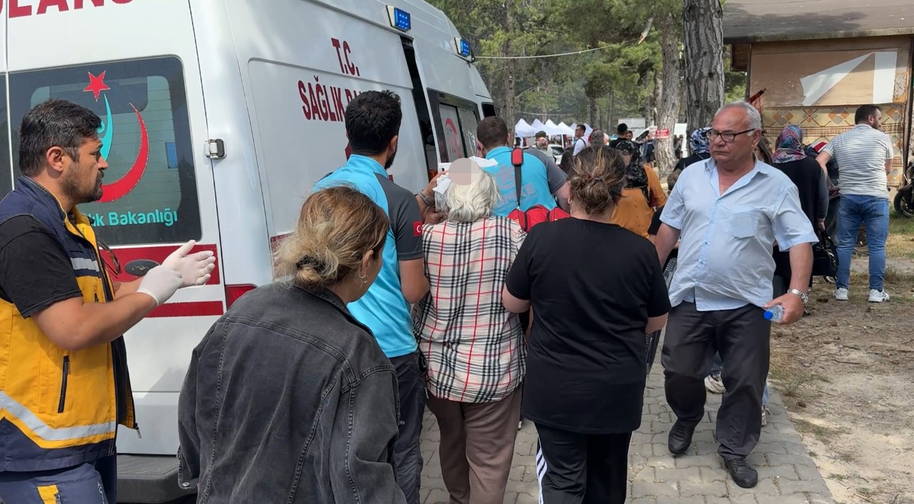 Şenlikte ağaçtan düşen dal yaşlı kadını yaraladı 5 senlikte agactan dusen dal yasli kadini yaraladi 1 OvAnFTvQ