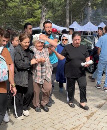 senlikte-agactan-dusen-dal-yasli-kadini-yaraladi-8CJngLGr.jpg