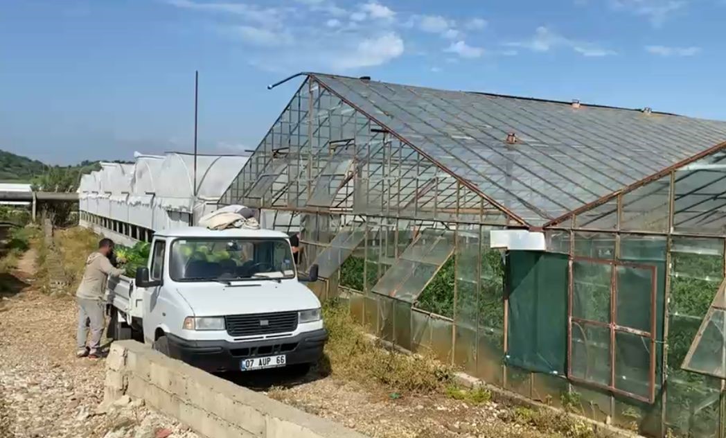 serada karpuz toplarken yilanla burun buruna geldi 3
