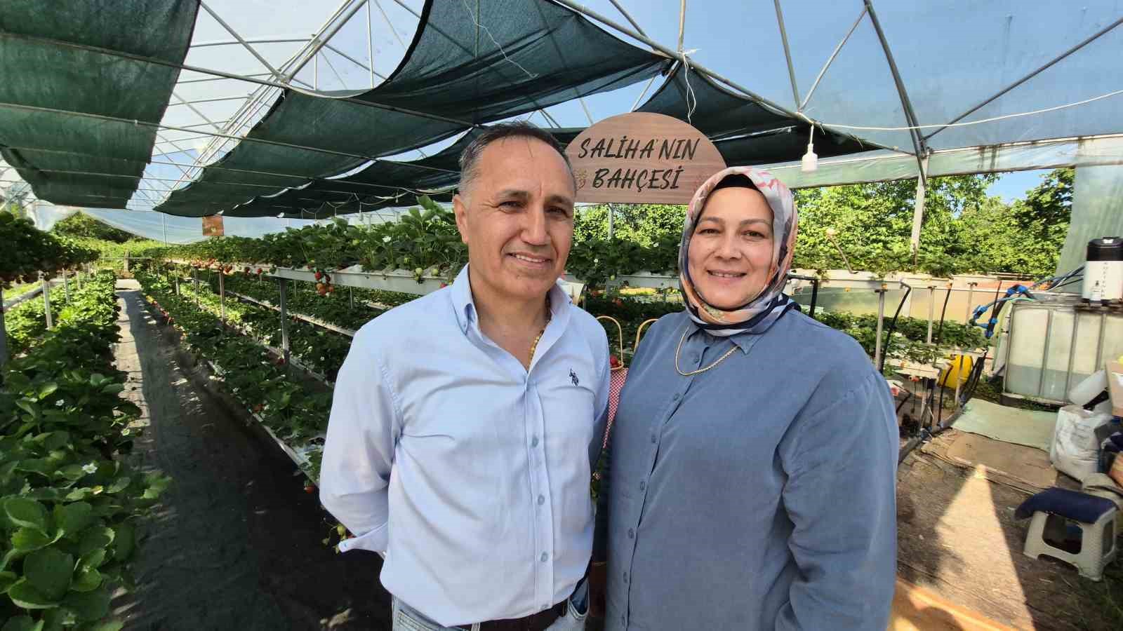 Serada topraksız yetiştirdikleri çilek yaşam enerjileri oldu 11 serada topraksiz yetistirdikleri cilek yasam enerjileri oldu 7 HULy8OnB