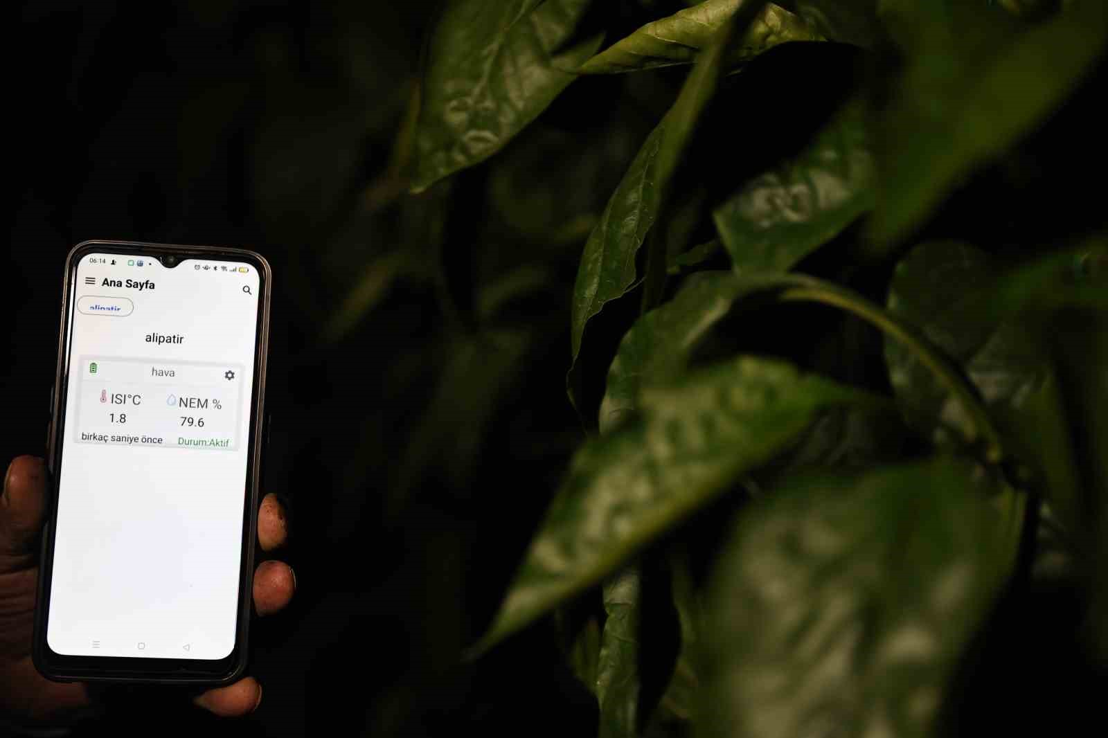 seralarda dona karsi sicakliklar cep telefonundan anlik takip ediliyor 4 5JJjqHFt