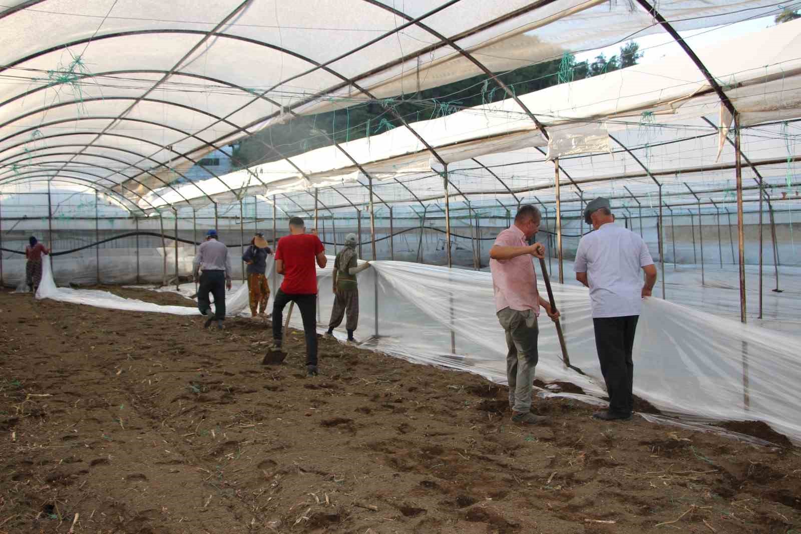 seralarda yeni sezon uretim icin solarizasyon donemi basladi 1 wp1T19bY