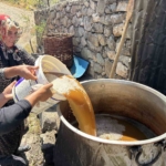 servi-koyunde-asirlik-gelenek-yasatiliyor-dut-pekmezi-buyuk-emeklerle-hazirlaniyor-lUs9SYTS.jpg